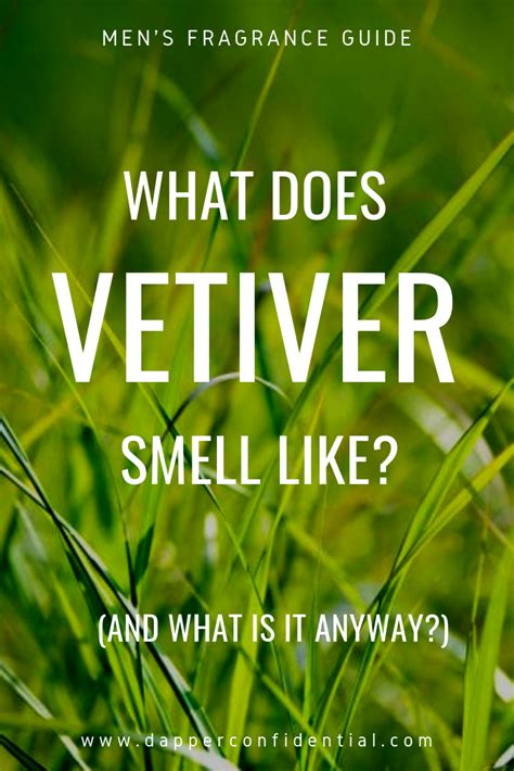 what does vetiver oil smell like